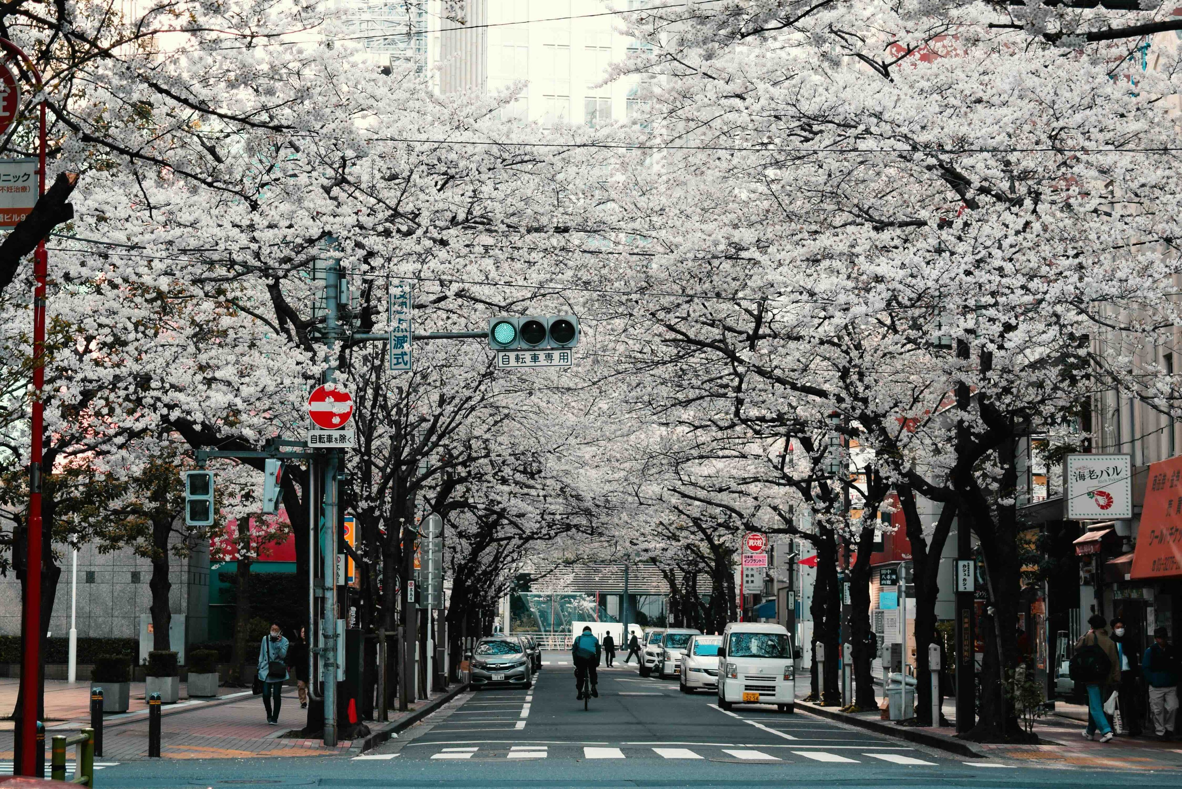 agathe-2cdvYh6ULCs-unsplash.jpeg