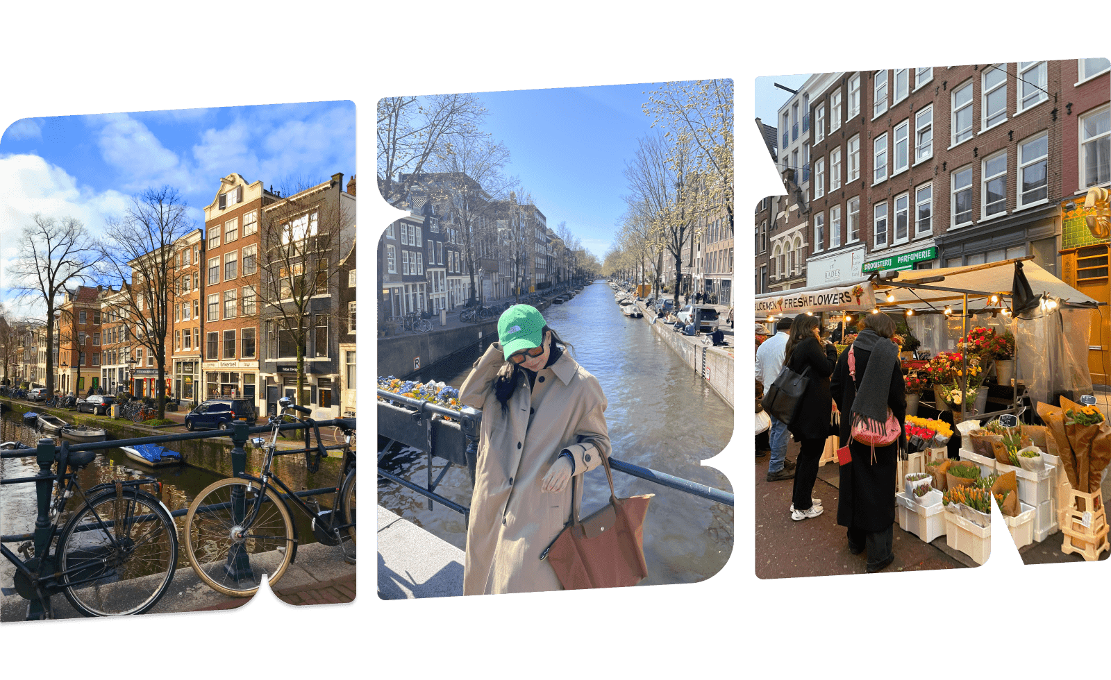 Едем в Амстердам: районы для жизни, маствизиты и лучшие кофейни города