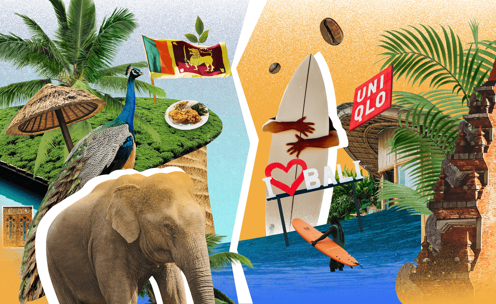 Бали против Шри-Ланки: решаем, где лучше загорать и покорять волны 