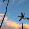 big island Hapuna Beach 2.jpg
