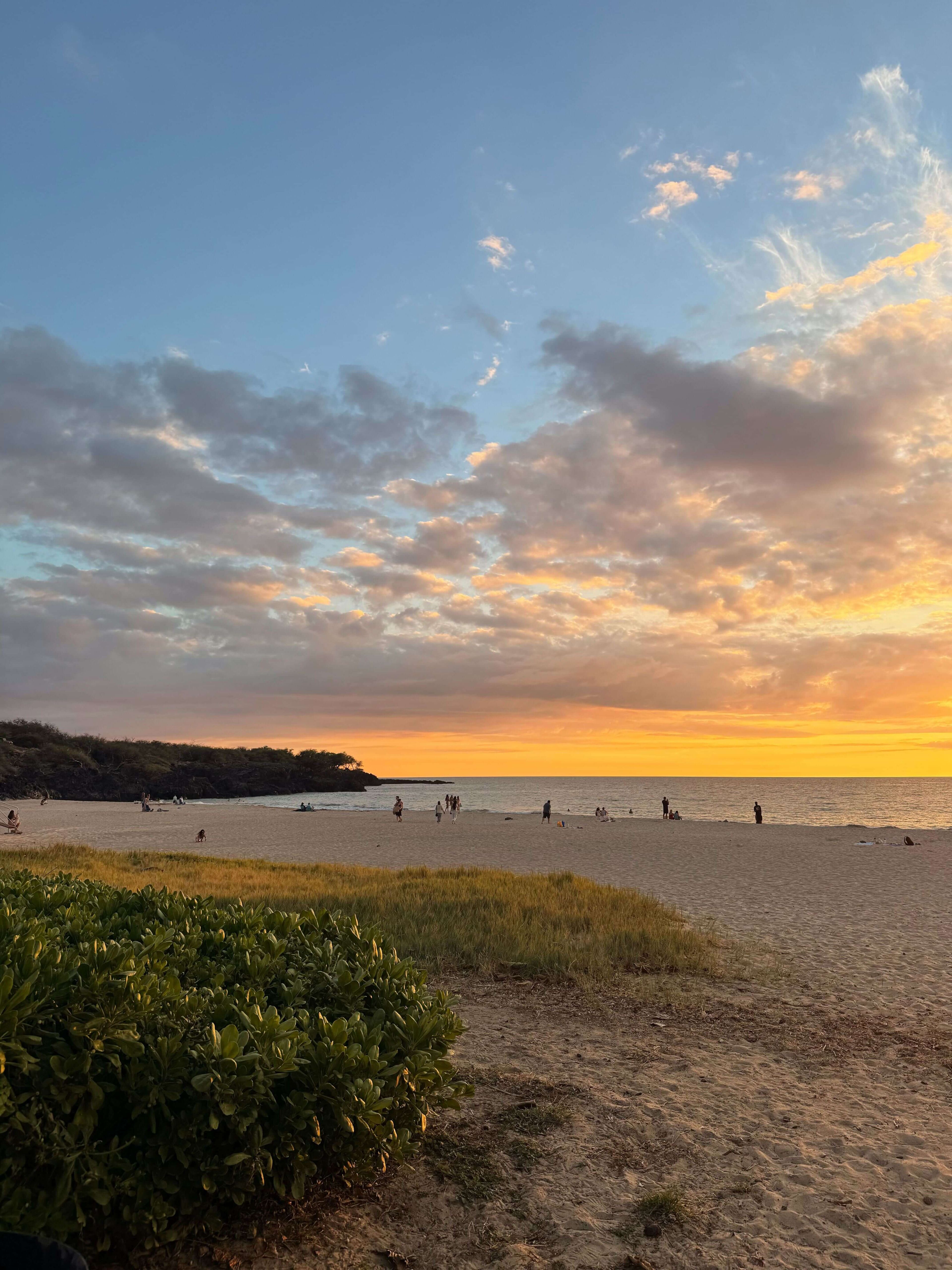 big island Hapuna Beach 3.jpg