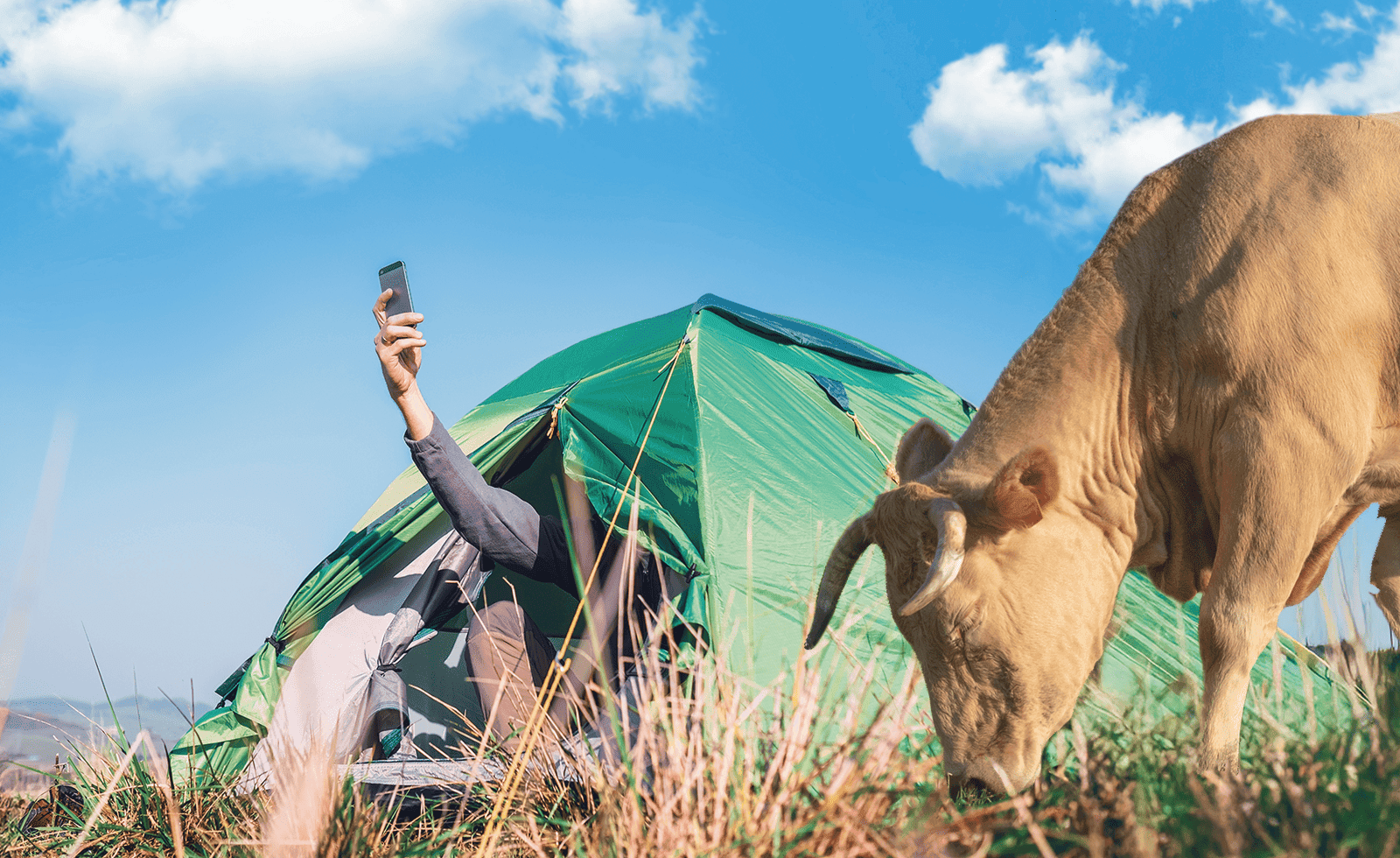 Что такое eSIM и как она работает