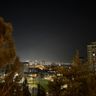 централ парк ночью.jpg