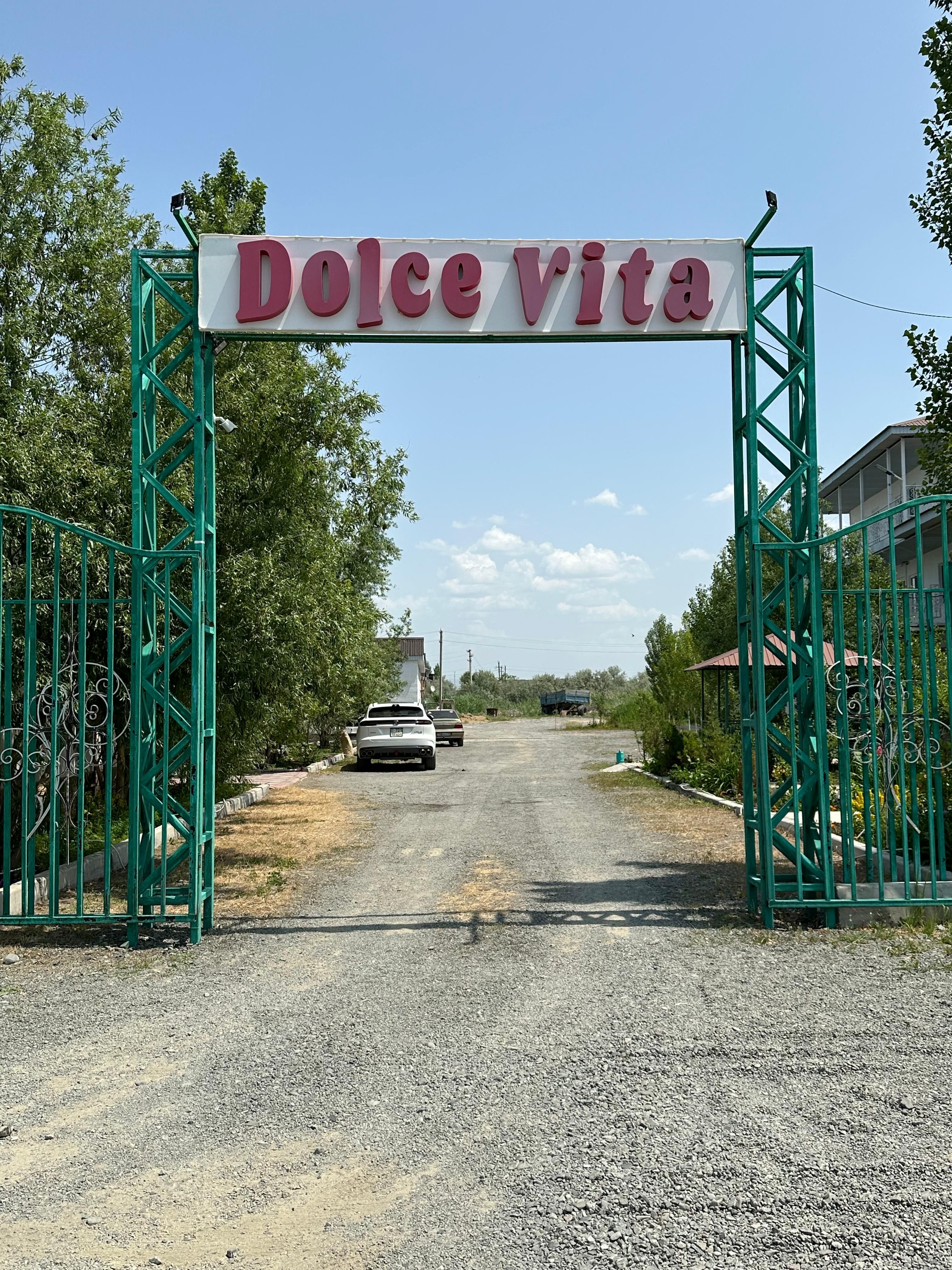 dol1.jpg