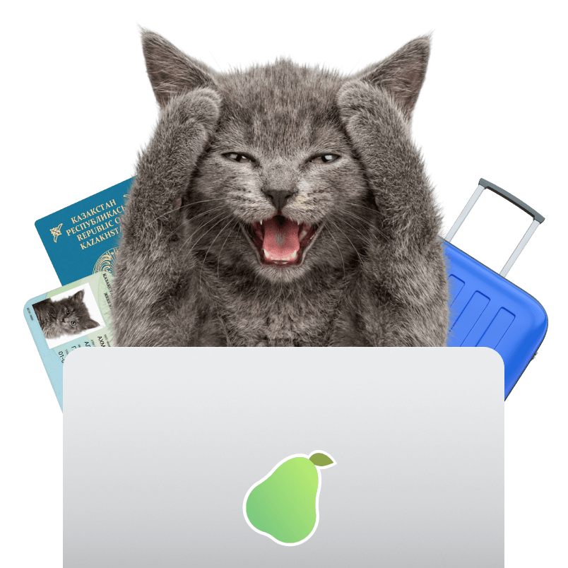 Как правильно заполнить данные при покупке авиабилета