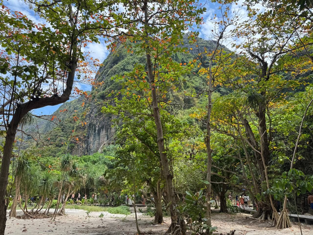 Бухта Майя Бэй в Таиланде