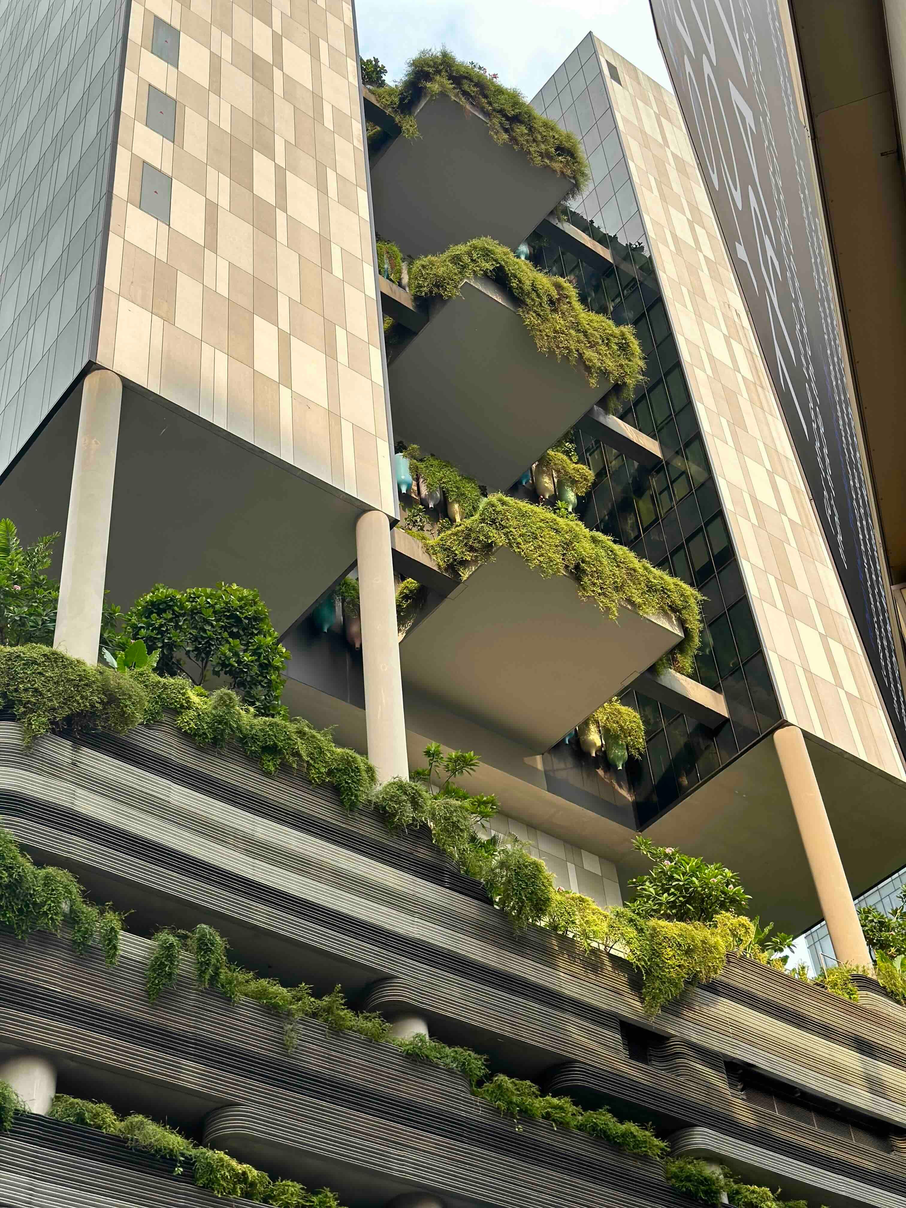 Сингапур за 96 часов: главные места и вкусные находки