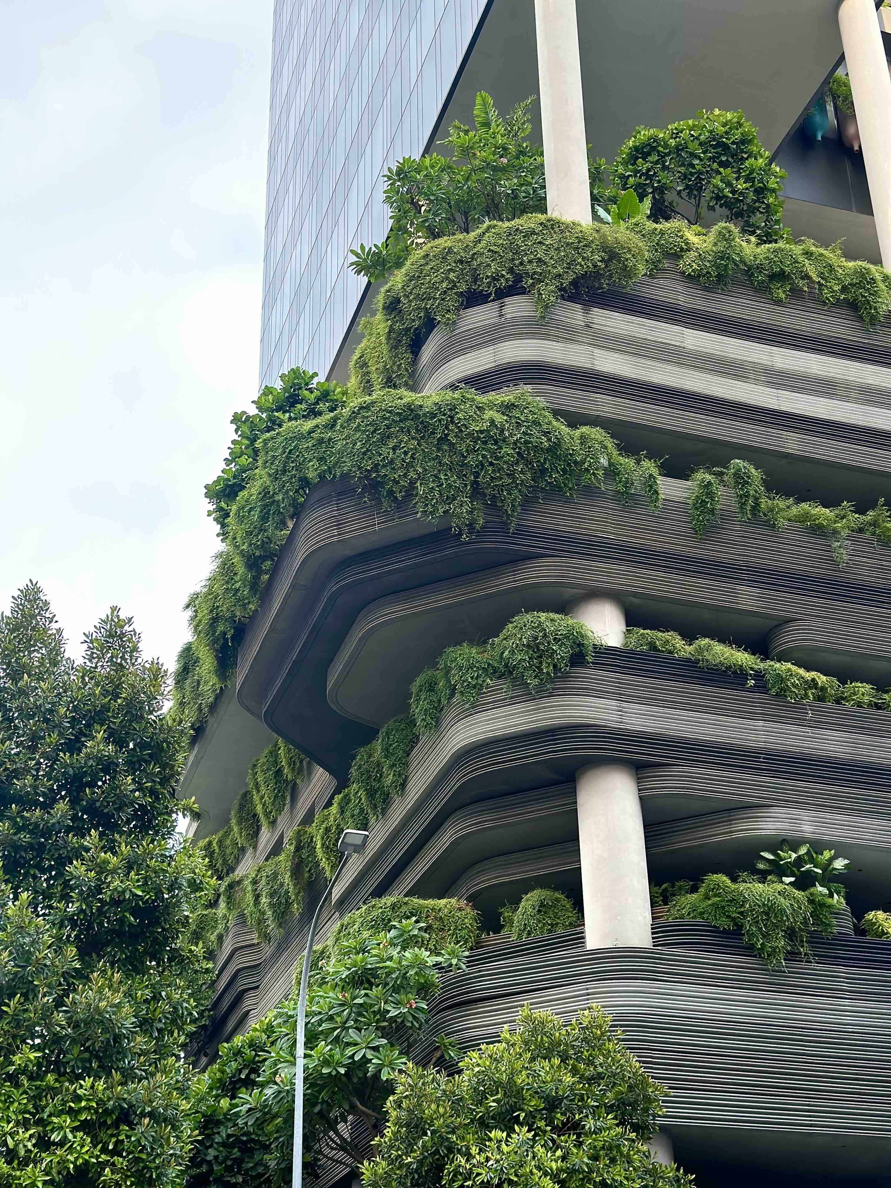 Сингапур за 96 часов: главные места и вкусные находки