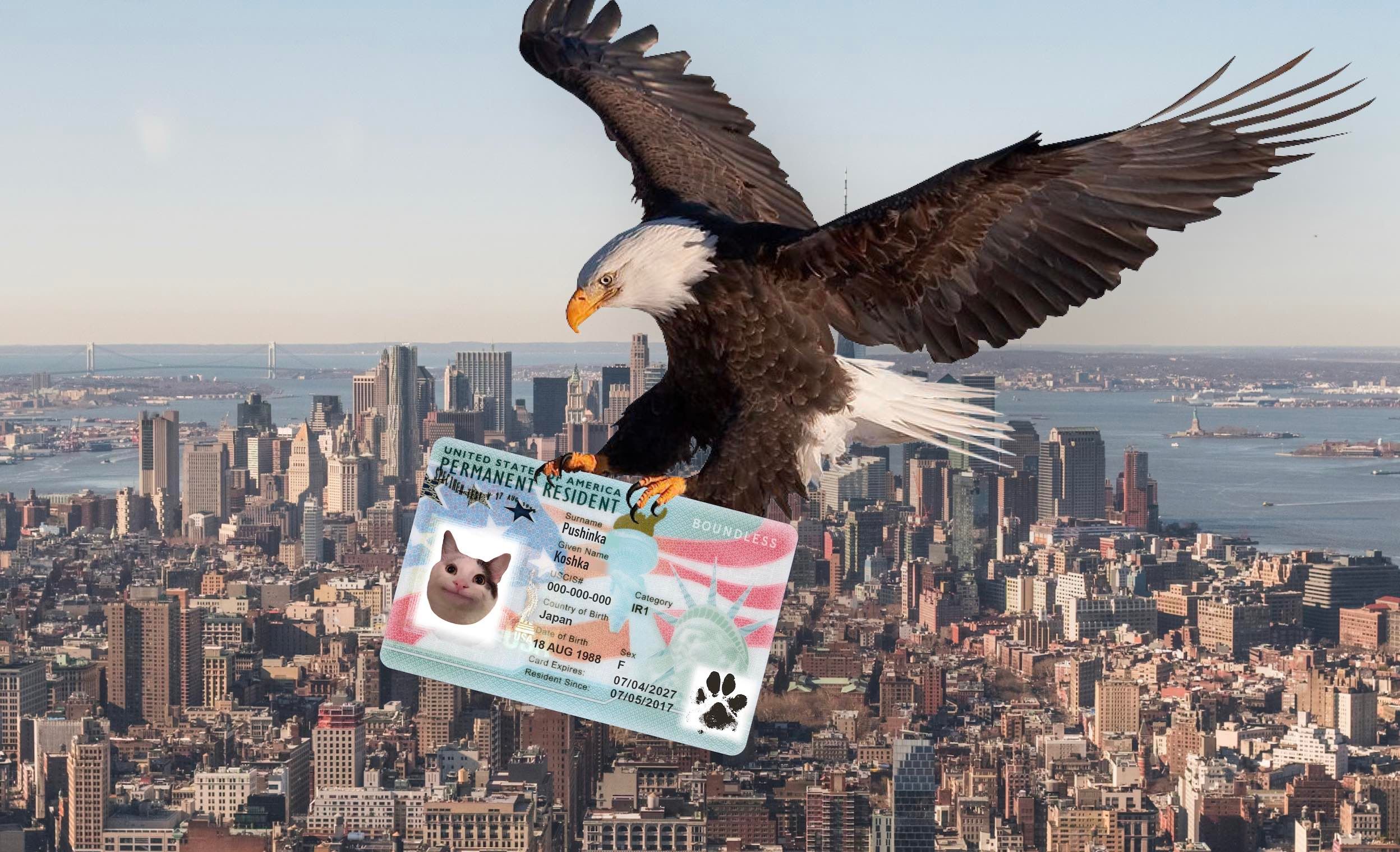 Грин-карта 2025: правила участия в лотерее для казахстанцев