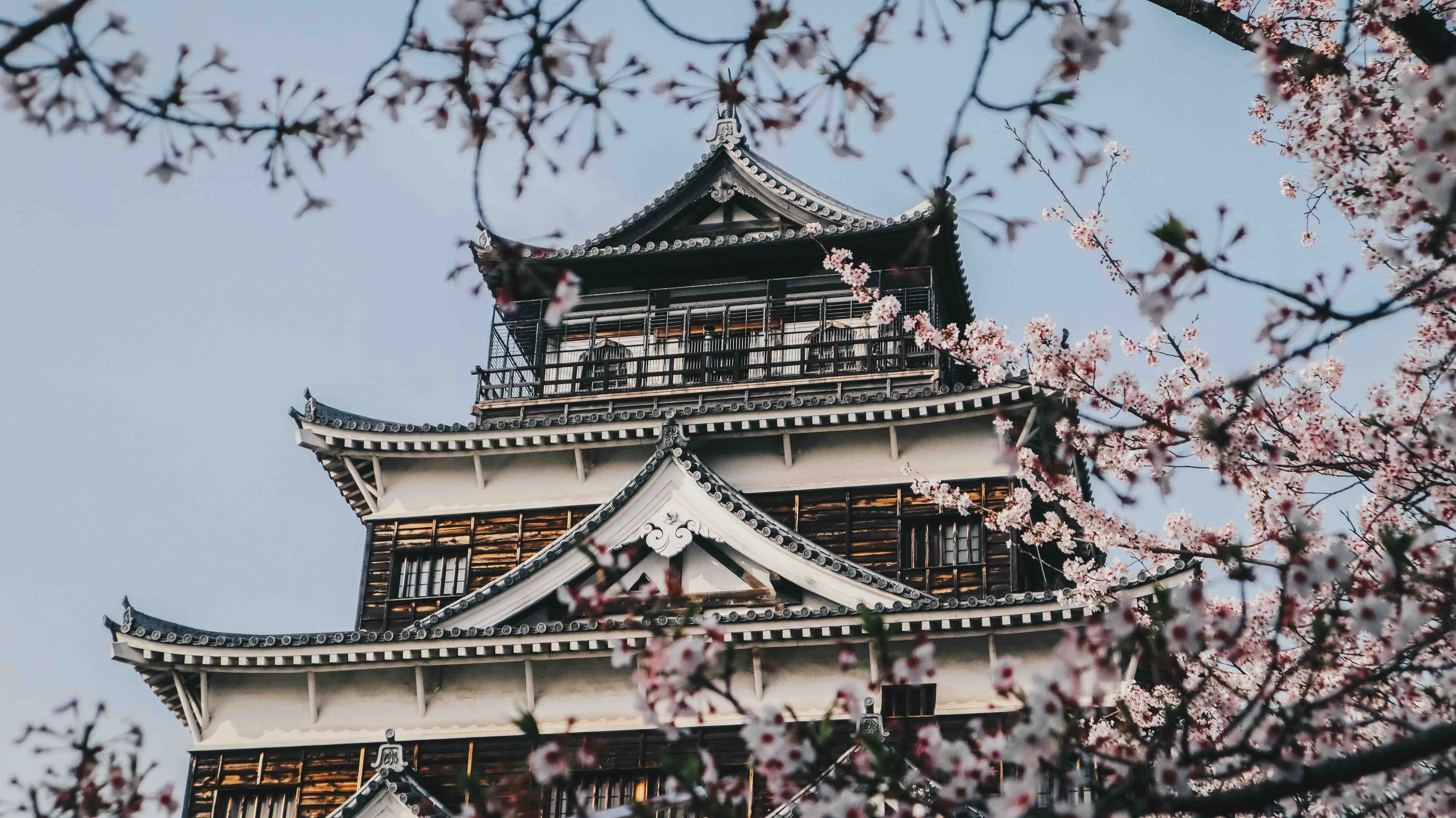 kenshi-kingami-1Qye5Rv0bNo-unsplash.jpeg