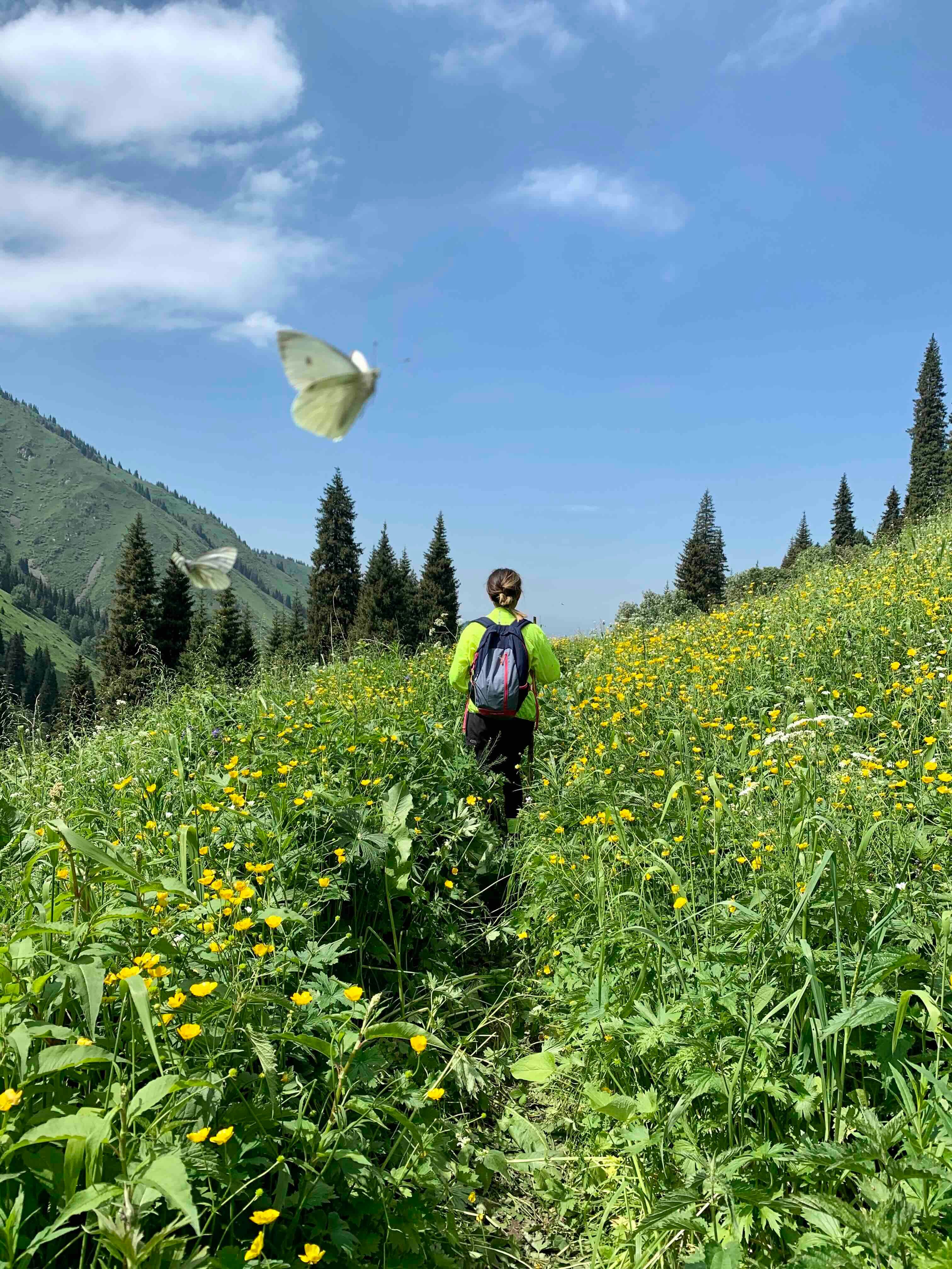 Куда сходить и что посмотреть в Алматы: 