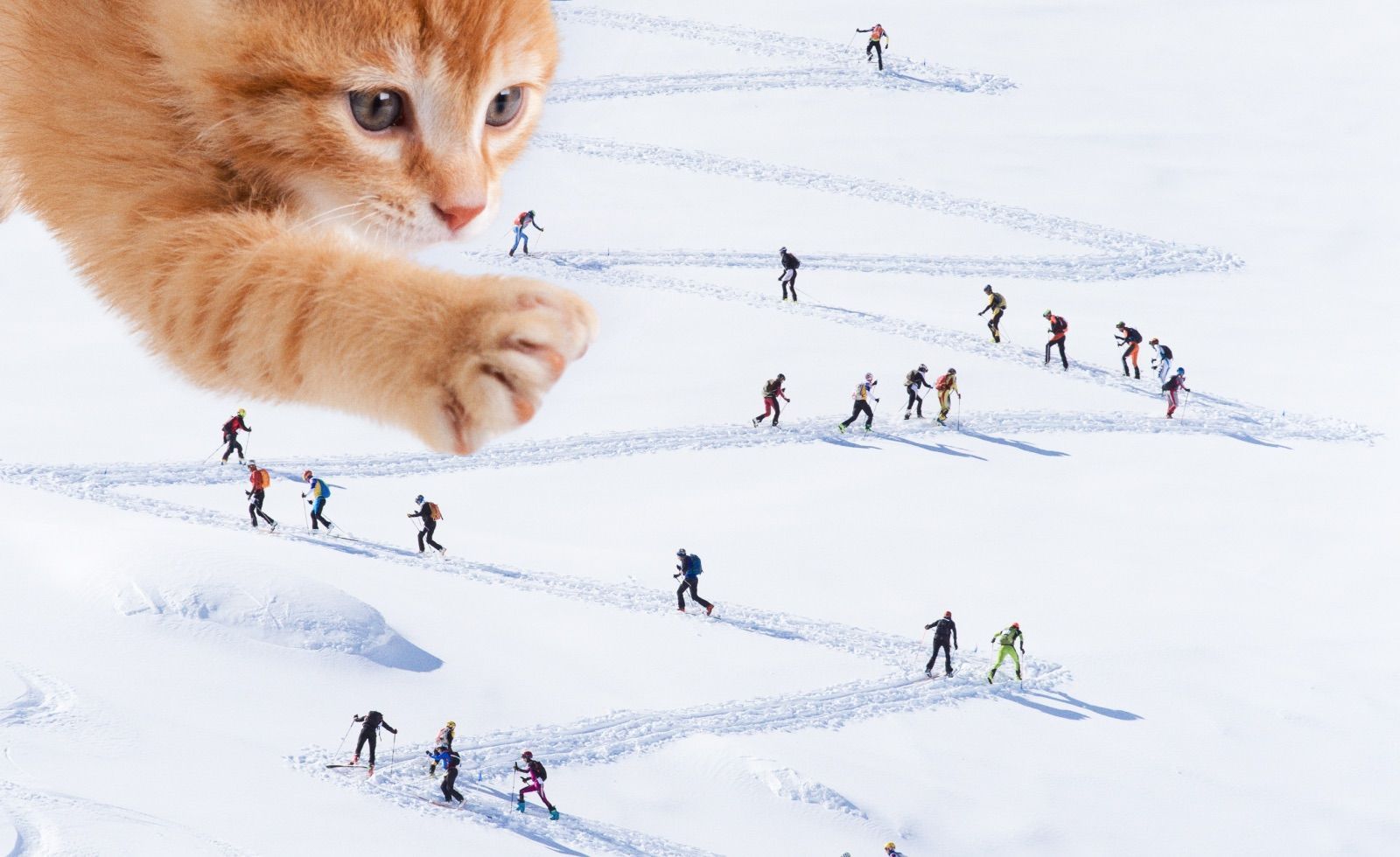 Горнолыжные курорты России: где покататься, кроме Сочи