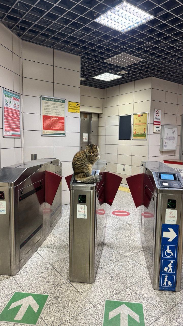 метро2.jpg