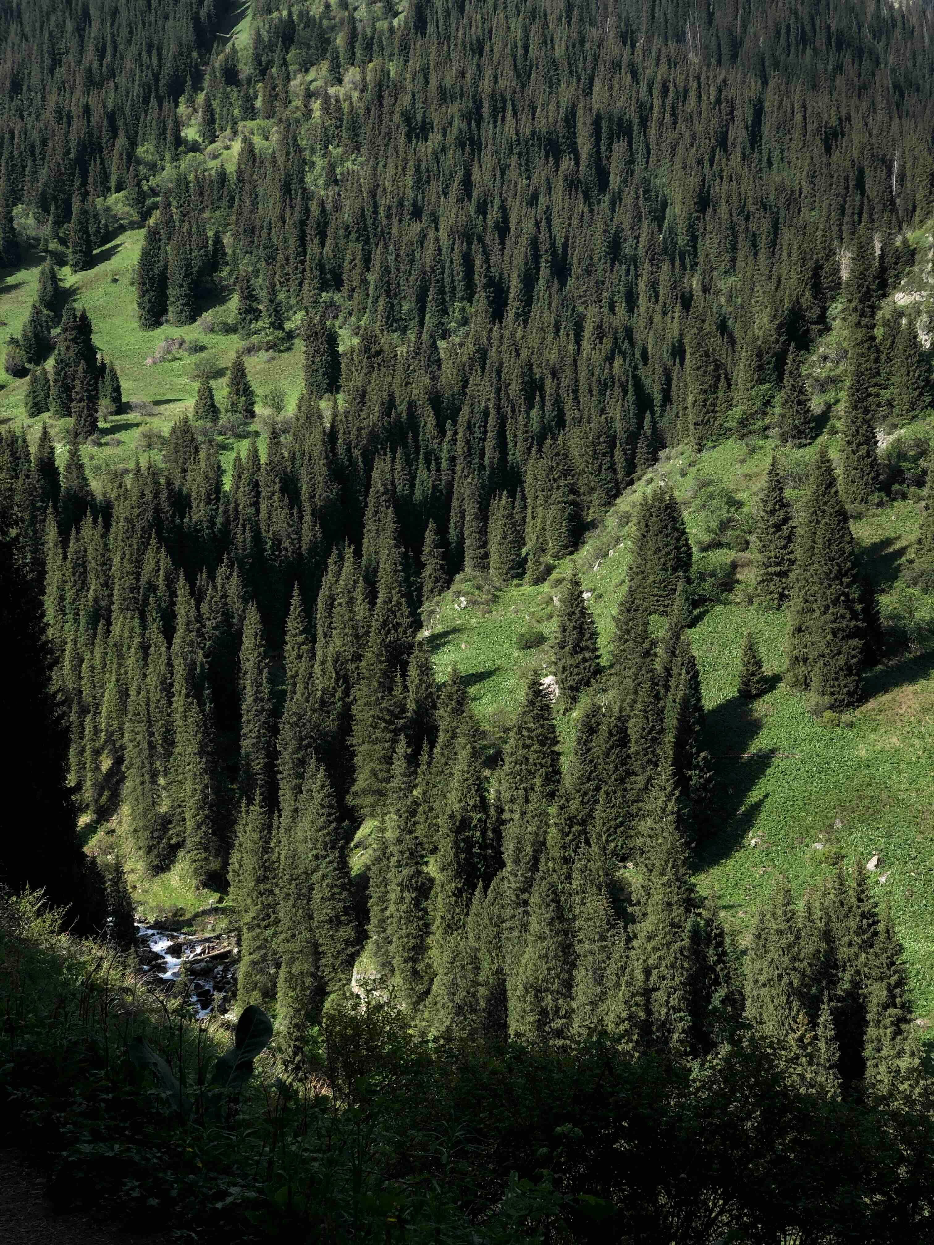 Куда сходить и что посмотреть в Алматы: 