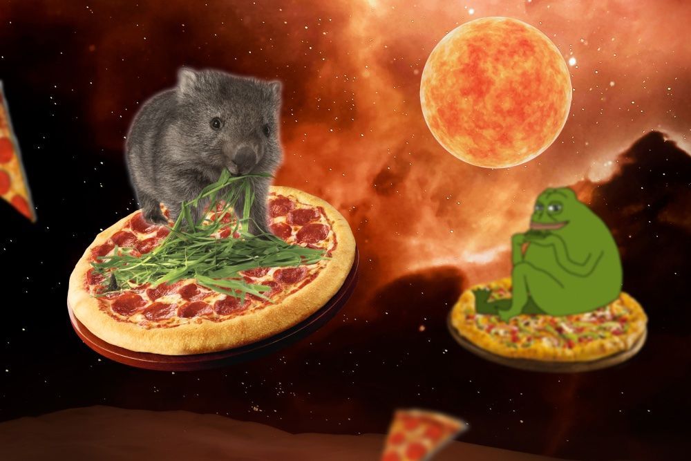 мыш ест.jpg