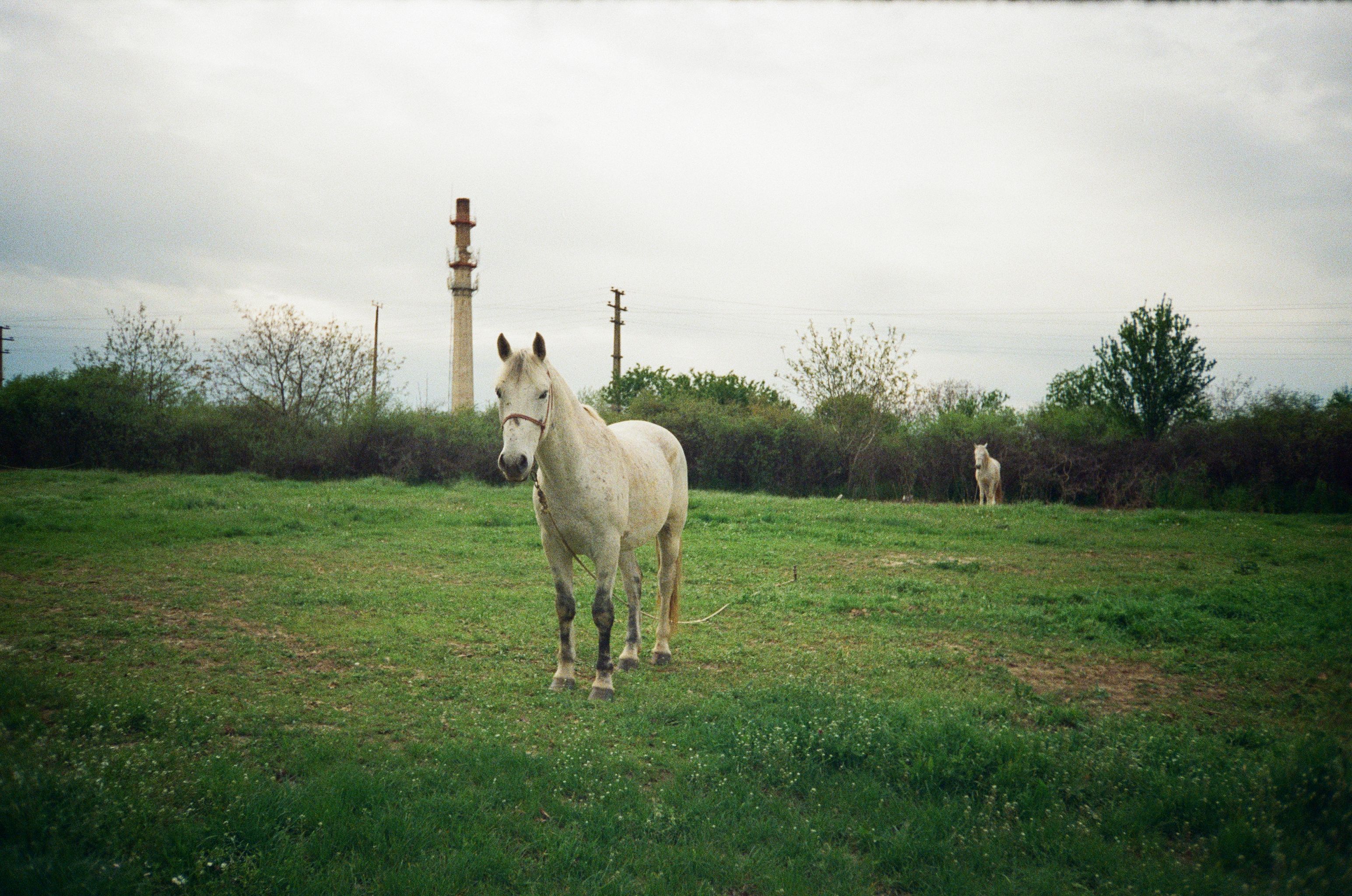 окрестности Нови-Сада