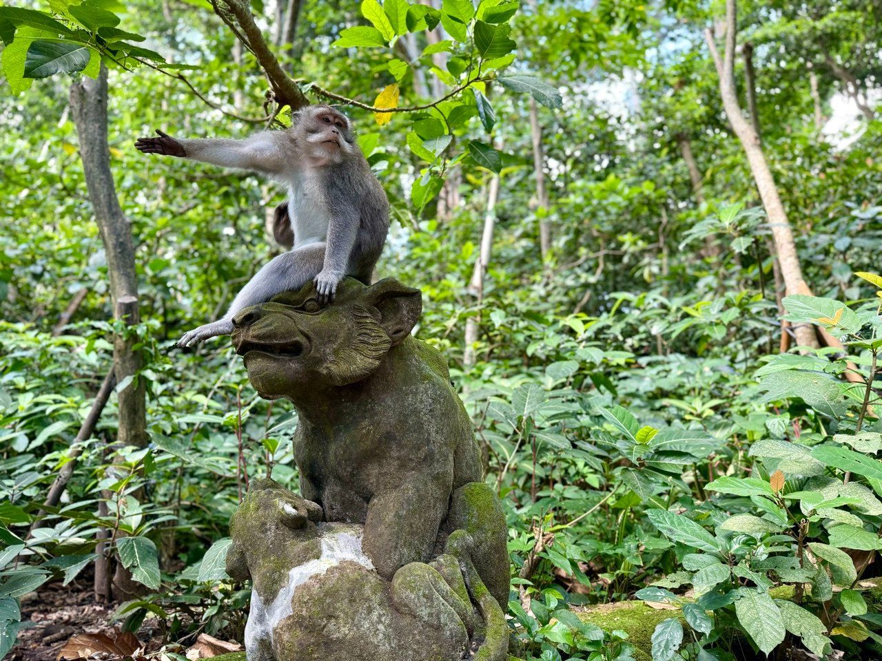 photo_2025-11-15_16-54-35 (2).jpg