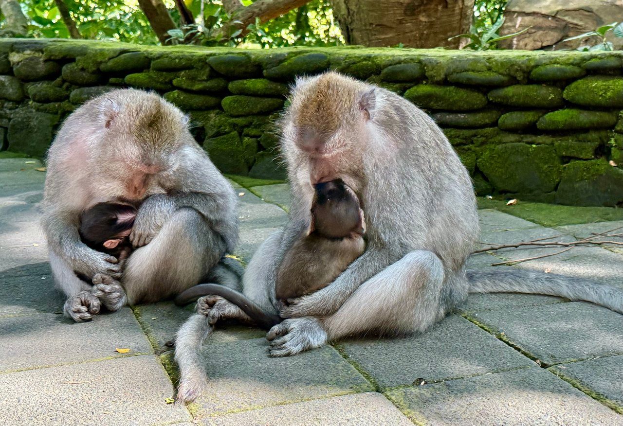 photo_2025-11-15_16-55-36 (2).jpg