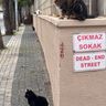 photo_2026-03-11_02-02-45.jpg