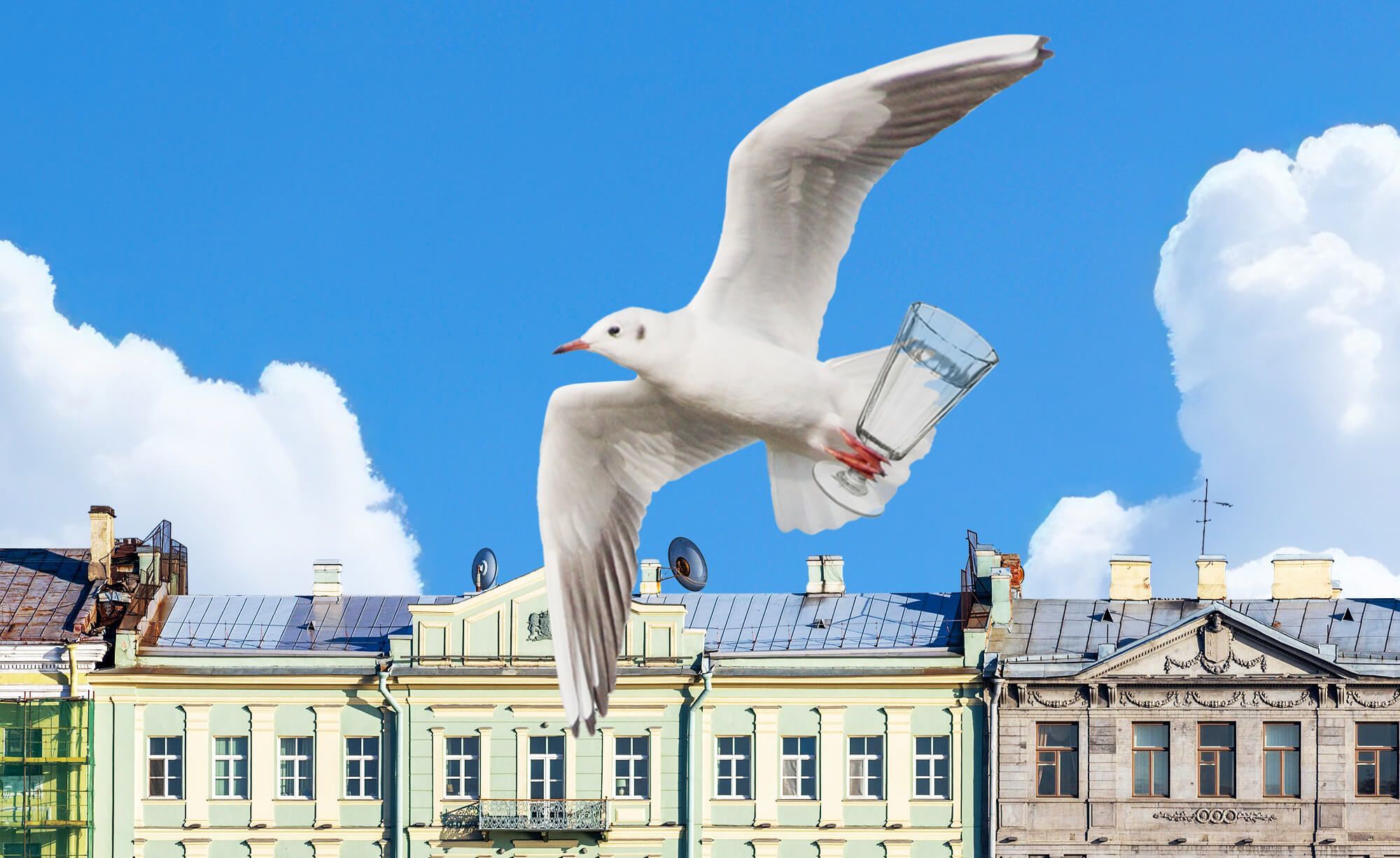 Первый раз в Санкт-Петербурге: чем заняться и куда сходить в Северной столице