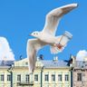 Первый раз в Санкт-Петербурге: чем заняться и куда сходить в Северной столице