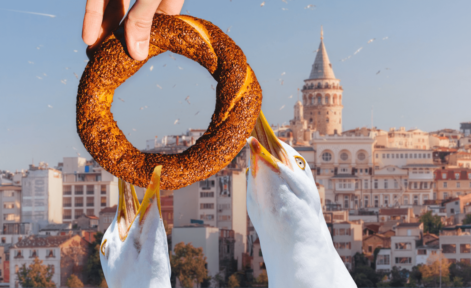 Что посмотреть в Стамбуле: мечети, базары и горячие симиты