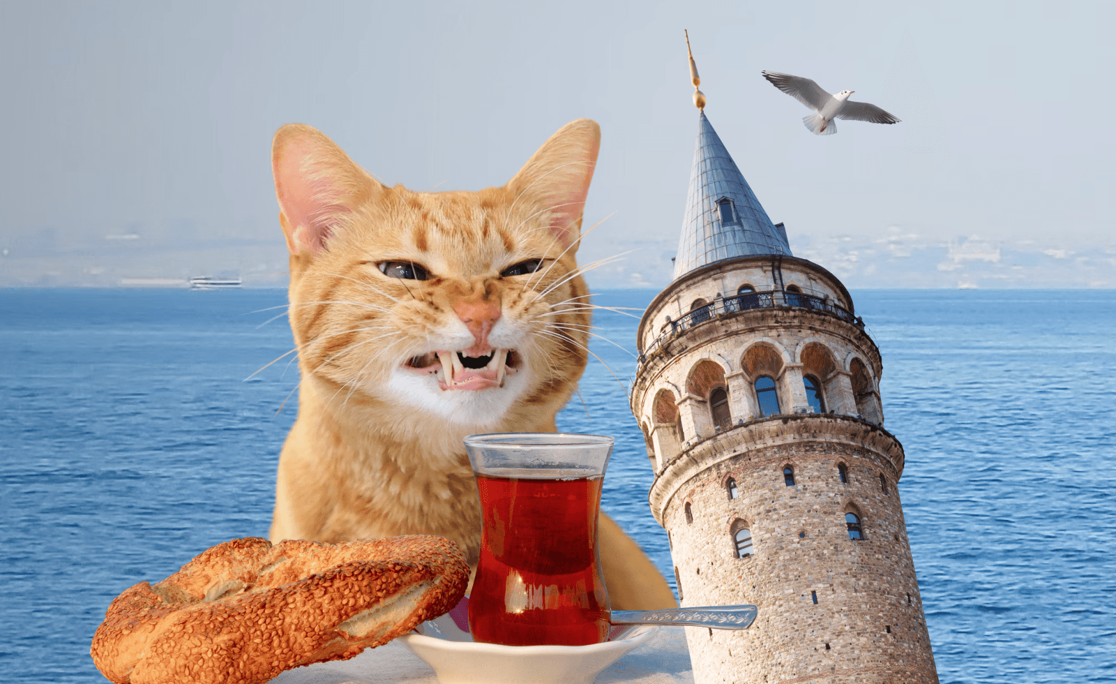 Человейник с сомнительным колоритом: почему мне не понравился Стамбул