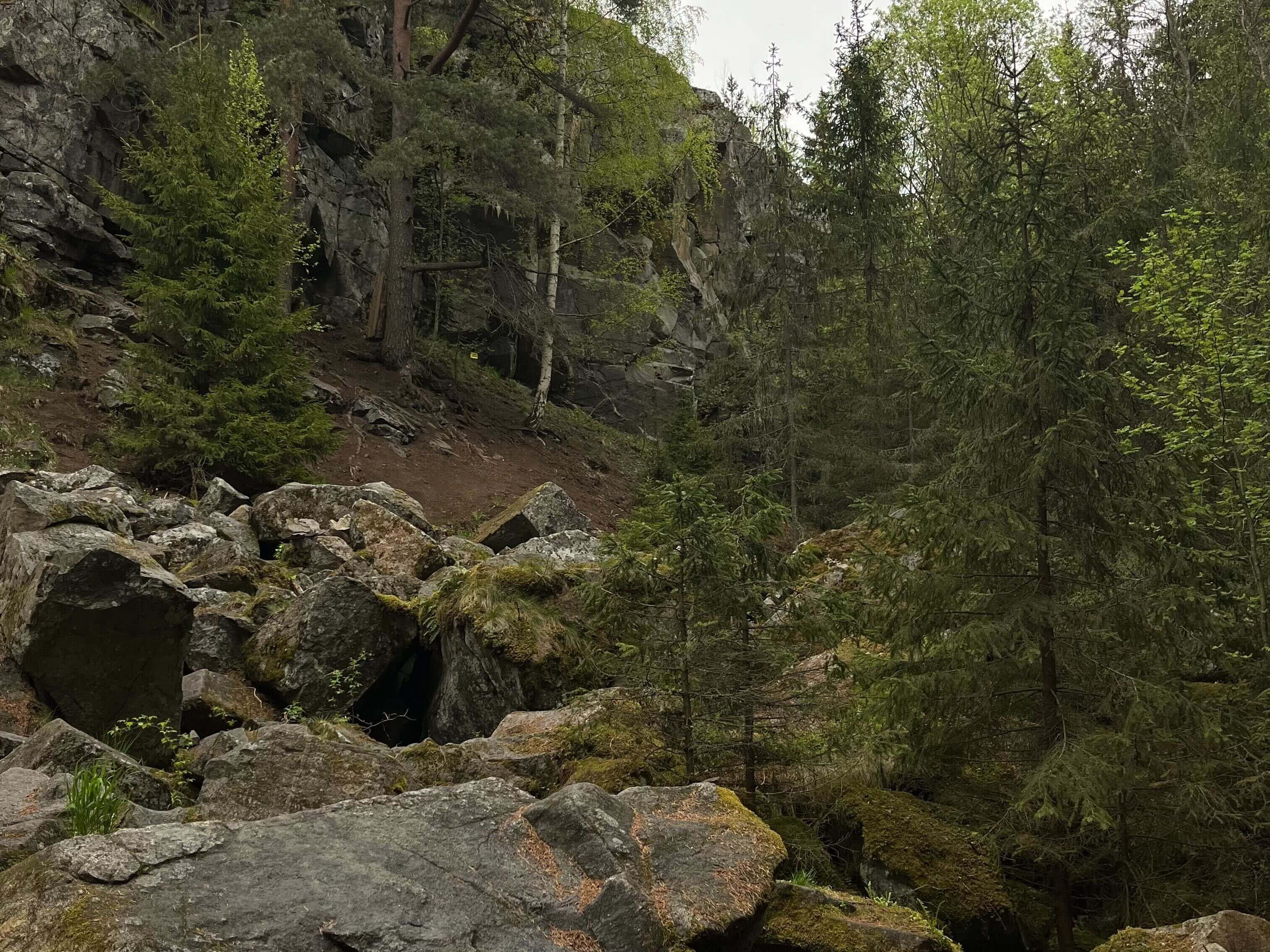 Подъём на гору Паасо в Карелии