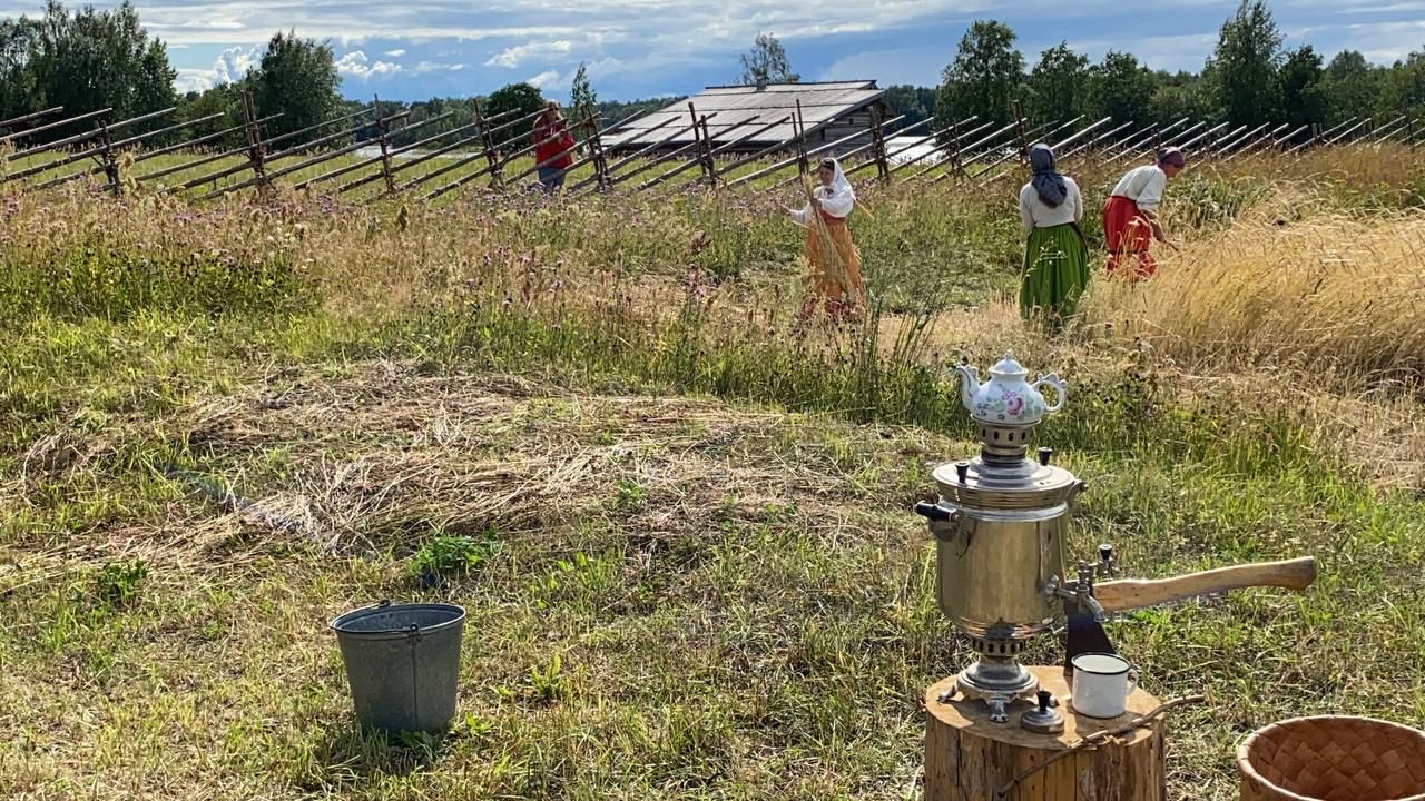 Крестьяне косят сено в Кижах