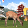 Что посмотреть в Осаке: буддийские храмы, Хогвартс и аквариум с акулой