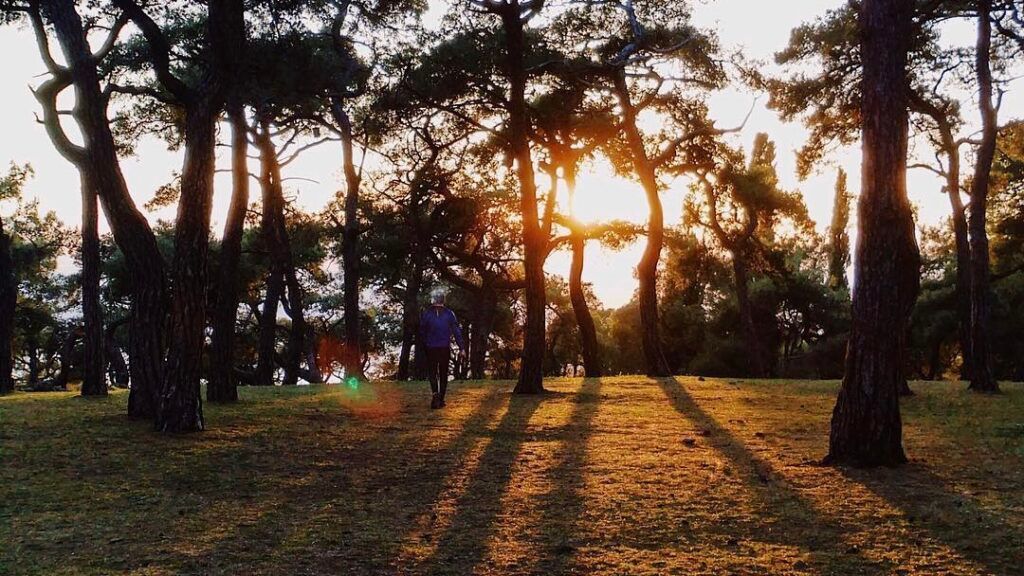 Закат на Принцевых островах