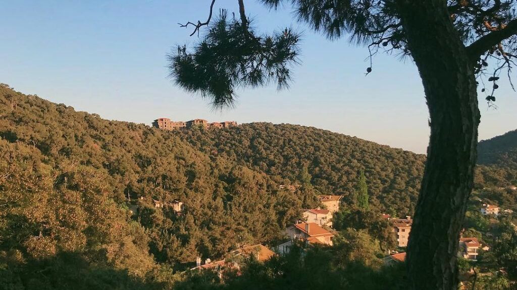 Дом на холме, Принцевы острова, Турция