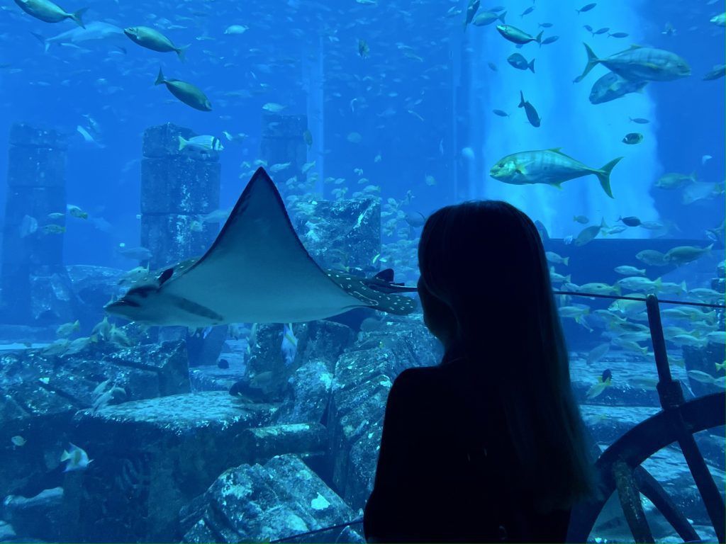 Океанариум в Дубае