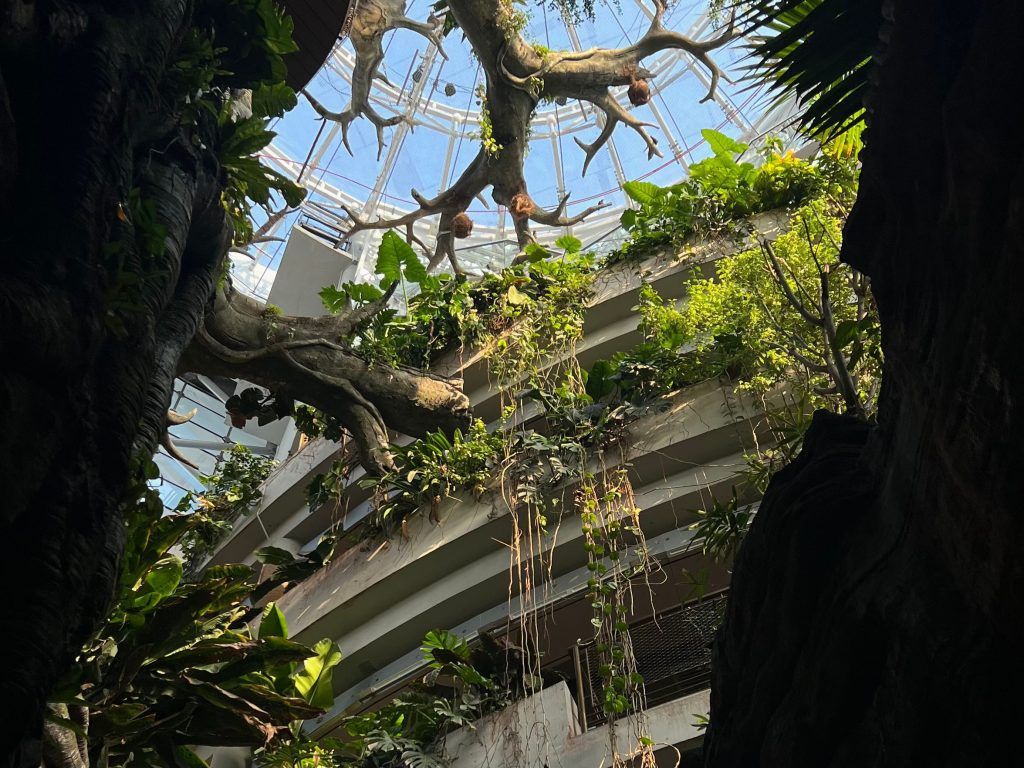 Парк живой природы The Green Planet