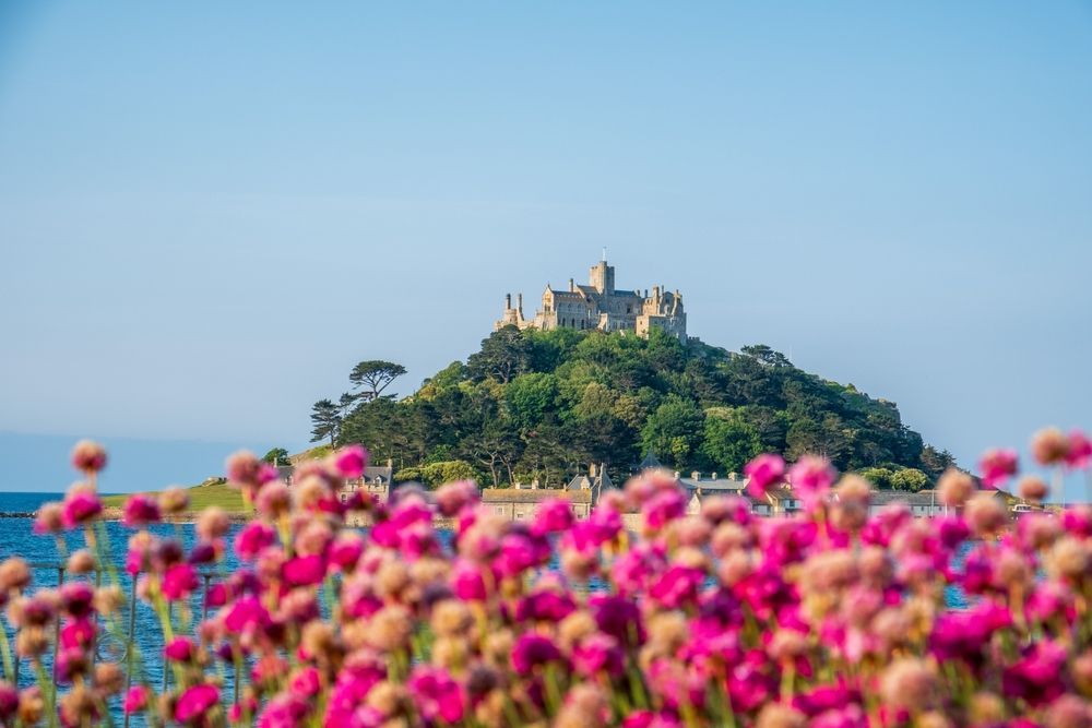 Замок на фоне цветов
