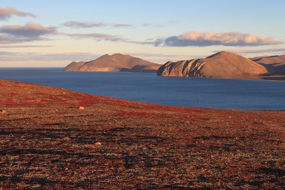 Восточно-Сибирское море, Россия