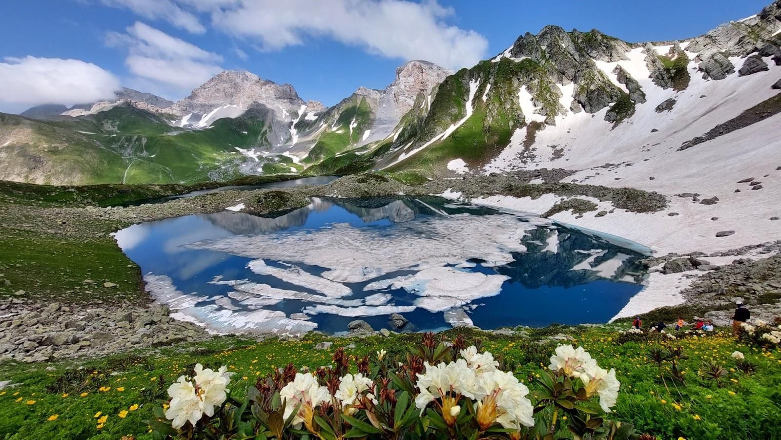 Озеро, ледник и цветы