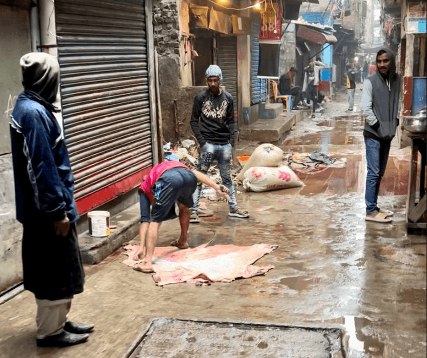 Поездка в Бангладеш: мои впечатления