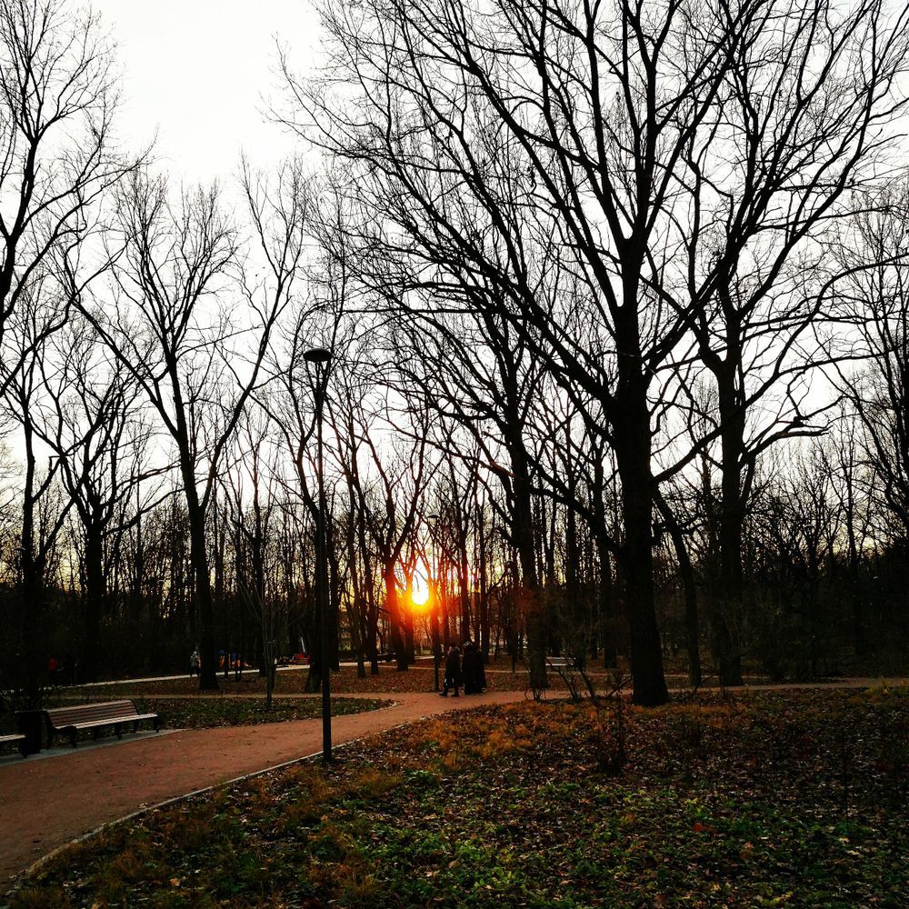 Парк на закате