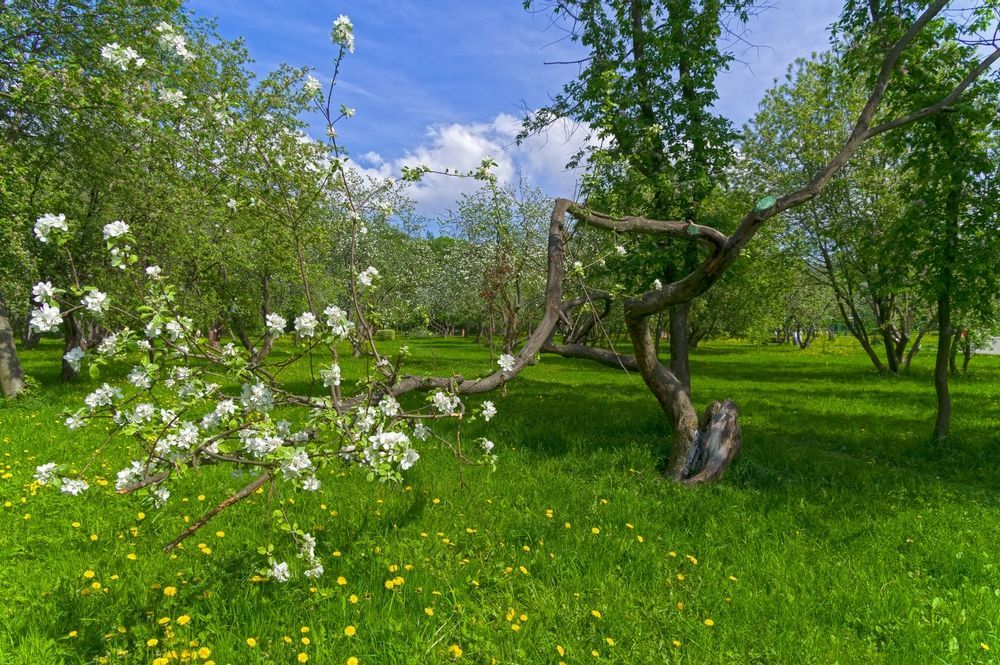 Пять районов Москвы, в которые вы не поедете отдыхать