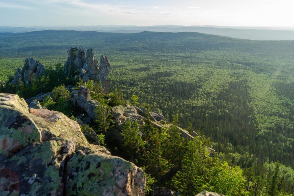 Скалы, переходящие в лес