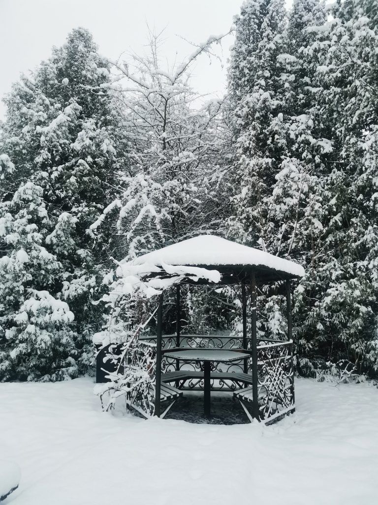 Зимняя беседка в Ботаническом саду