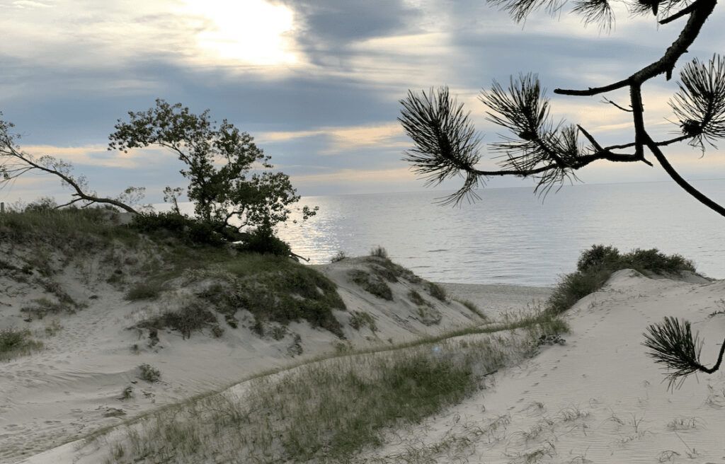 Дюны, сосны и море