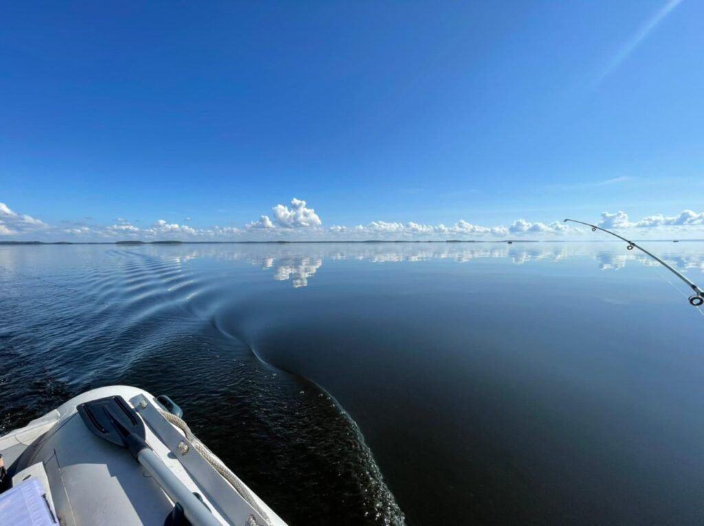 Водная гладь и спиннинг