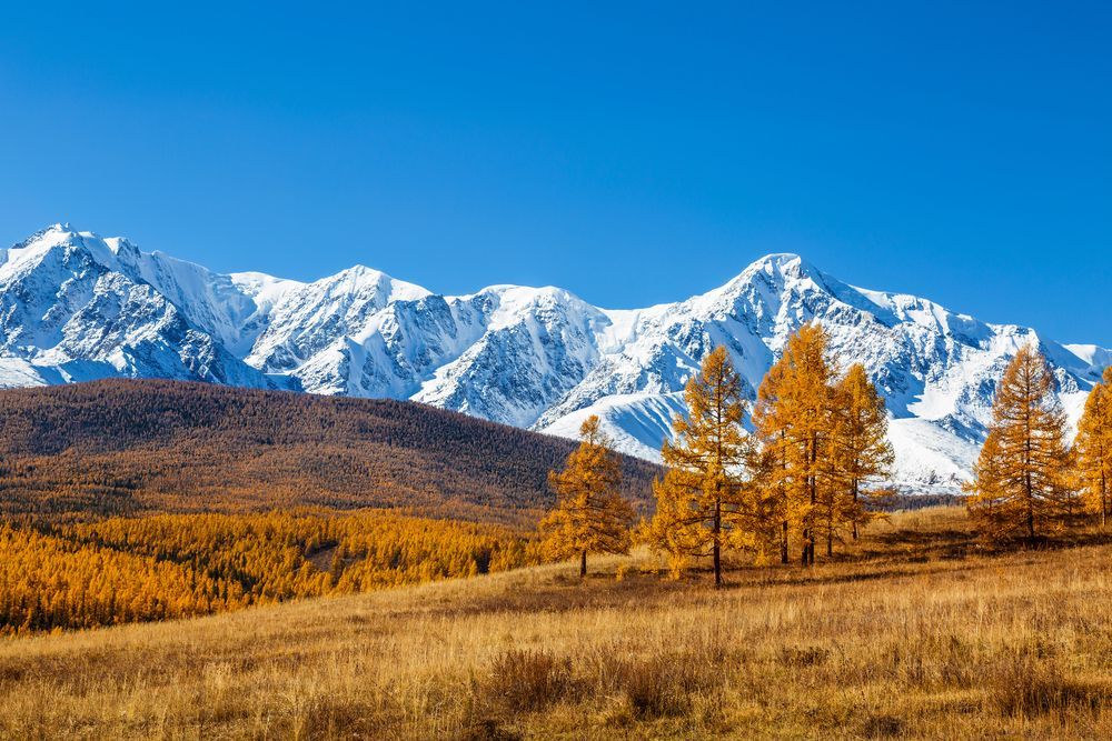 Алтай осенью