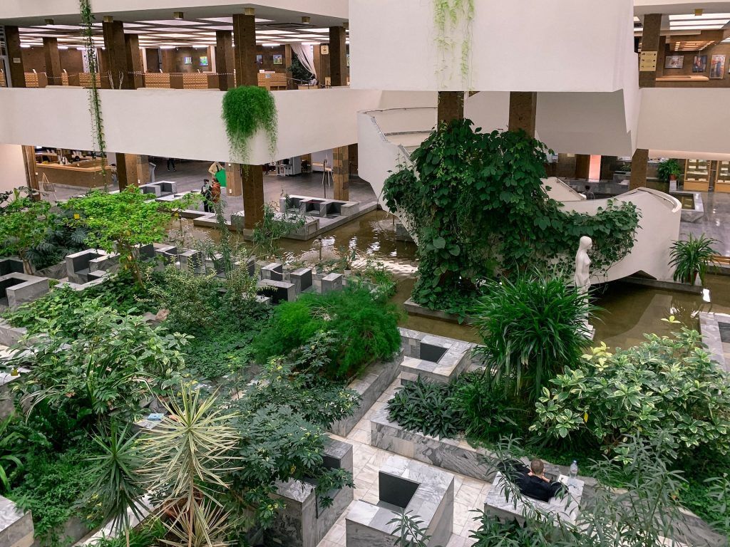 Донская публичная библиотека