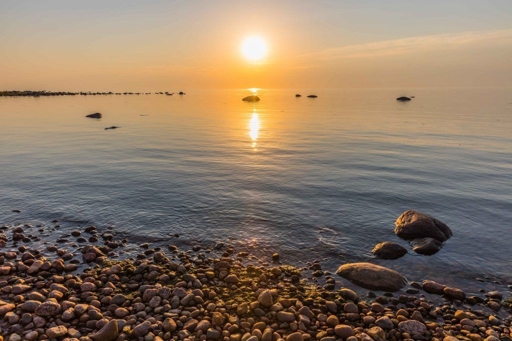 Берег Финского залива