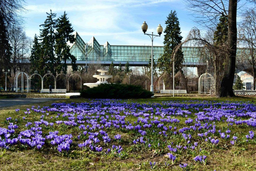 Парк Горького в Москве