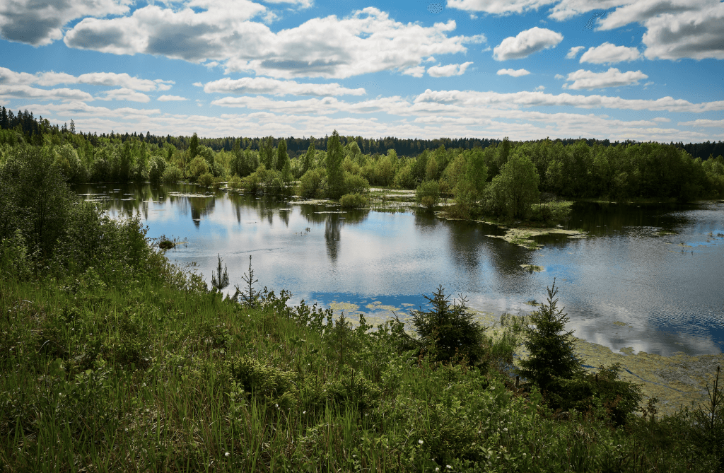 Водоём рядом с Петербургом
