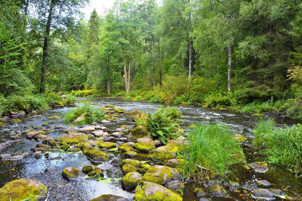 Барханы и радиоактивные озёра: куда поехать под Петербургом